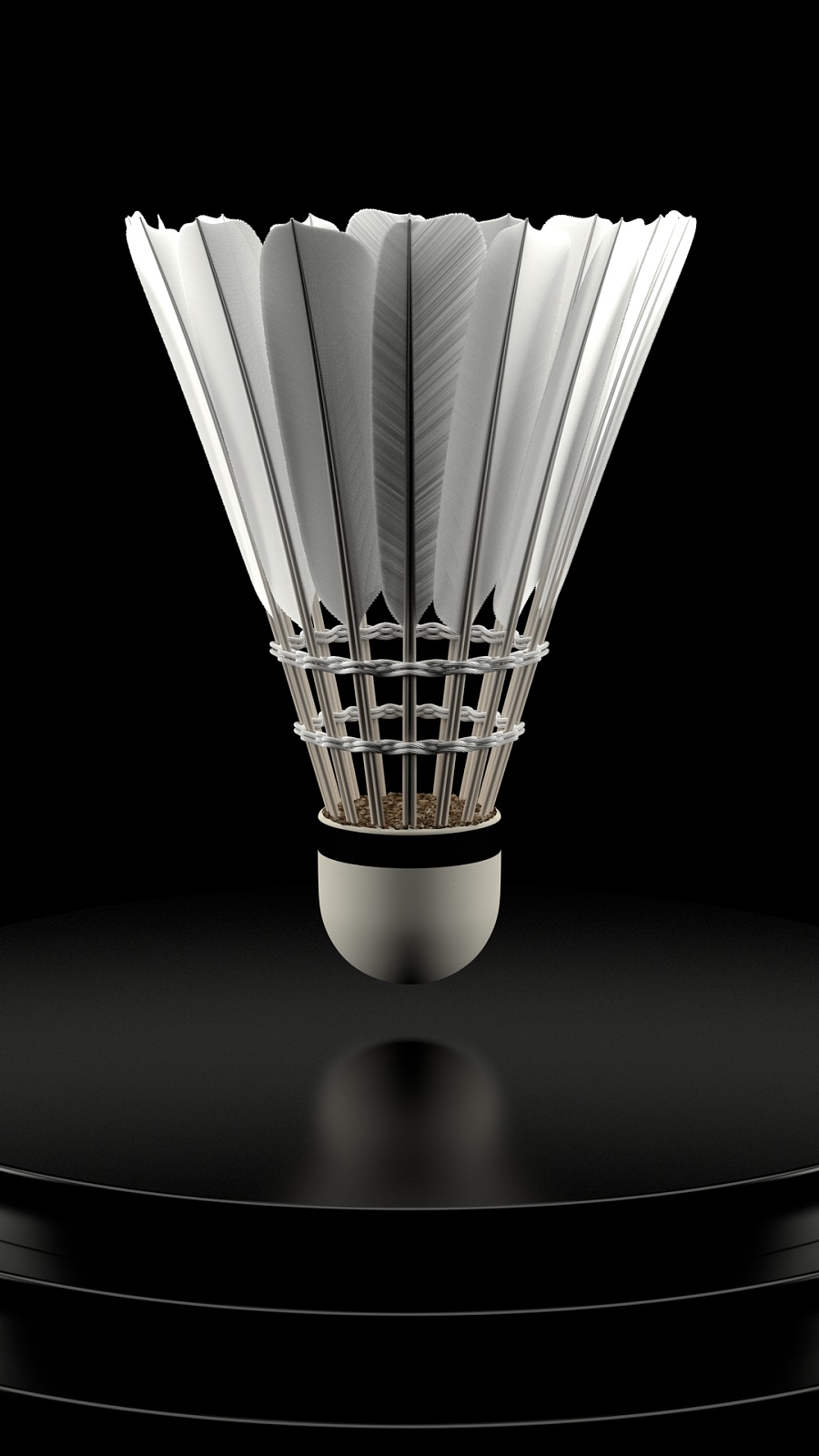 漂亮的男女 漂亮的男女